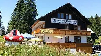 Hotel Feldbergpass 2*