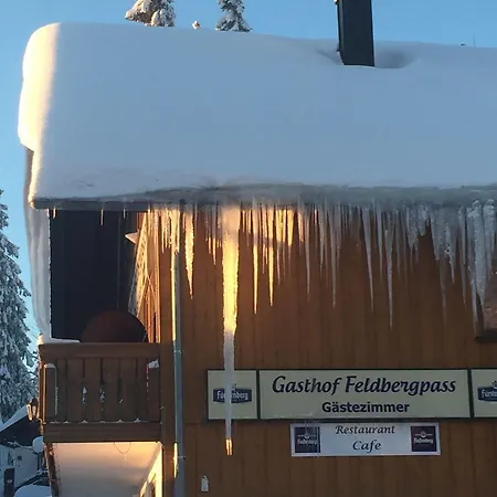 Feldbergpass 호텔 2*